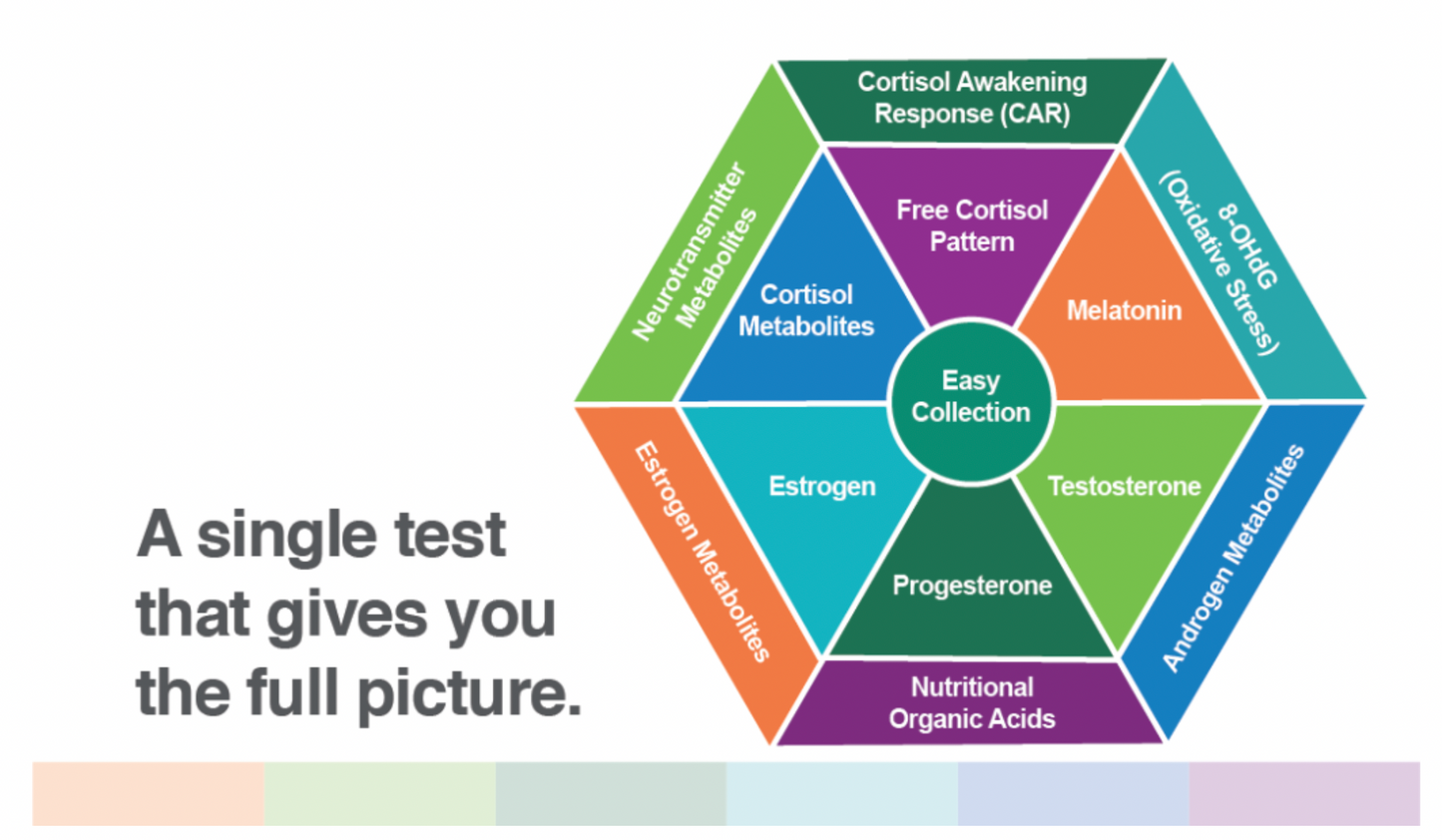 DUTCH Complete Hormone Test